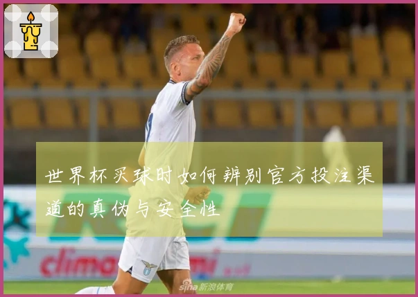 世界杯买球时如何辨别官方投注渠道的真伪与安全性