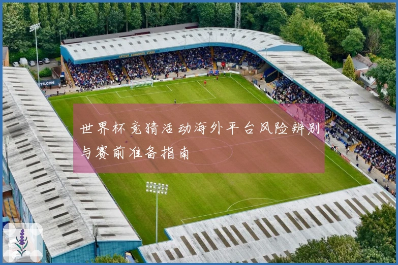 世界杯竞猜活动海外平台风险辨别与赛前准备指南