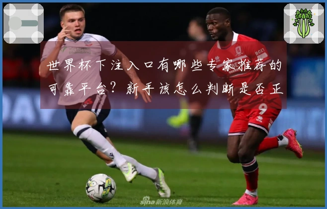 世界杯下注入口有哪些专家推荐的可靠平台？新手该怎么判断是否正规可靠