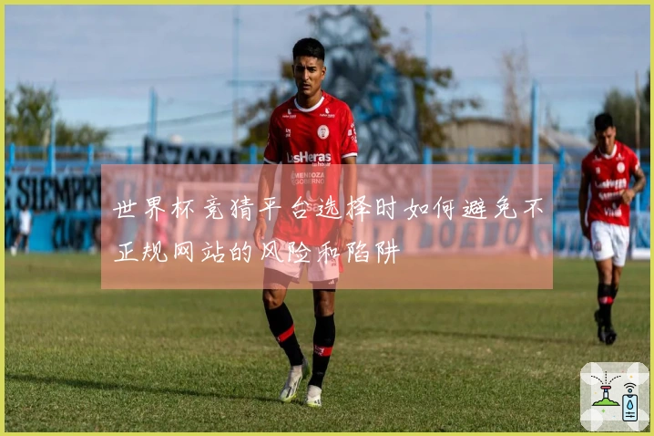 世界杯竞猜平台选择时如何避免不正规网站的风险和陷阱