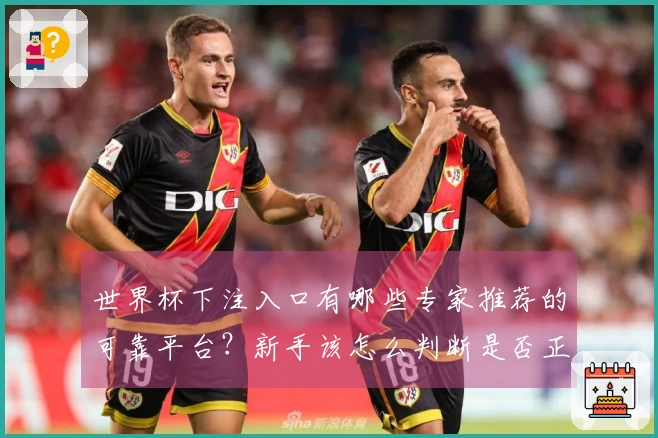 世界杯下注入口有哪些专家推荐的可靠平台?新手该怎么判断是否正规可靠