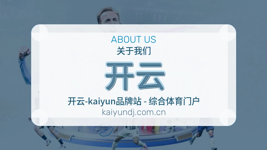 开云关于平台与用户服务展示
